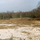 Vue de la dune éclaircie après la coupe ©O.G.E