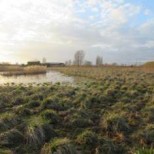 Vue sur une partie de la prairie de fauche en février 2015 © EACM -AD